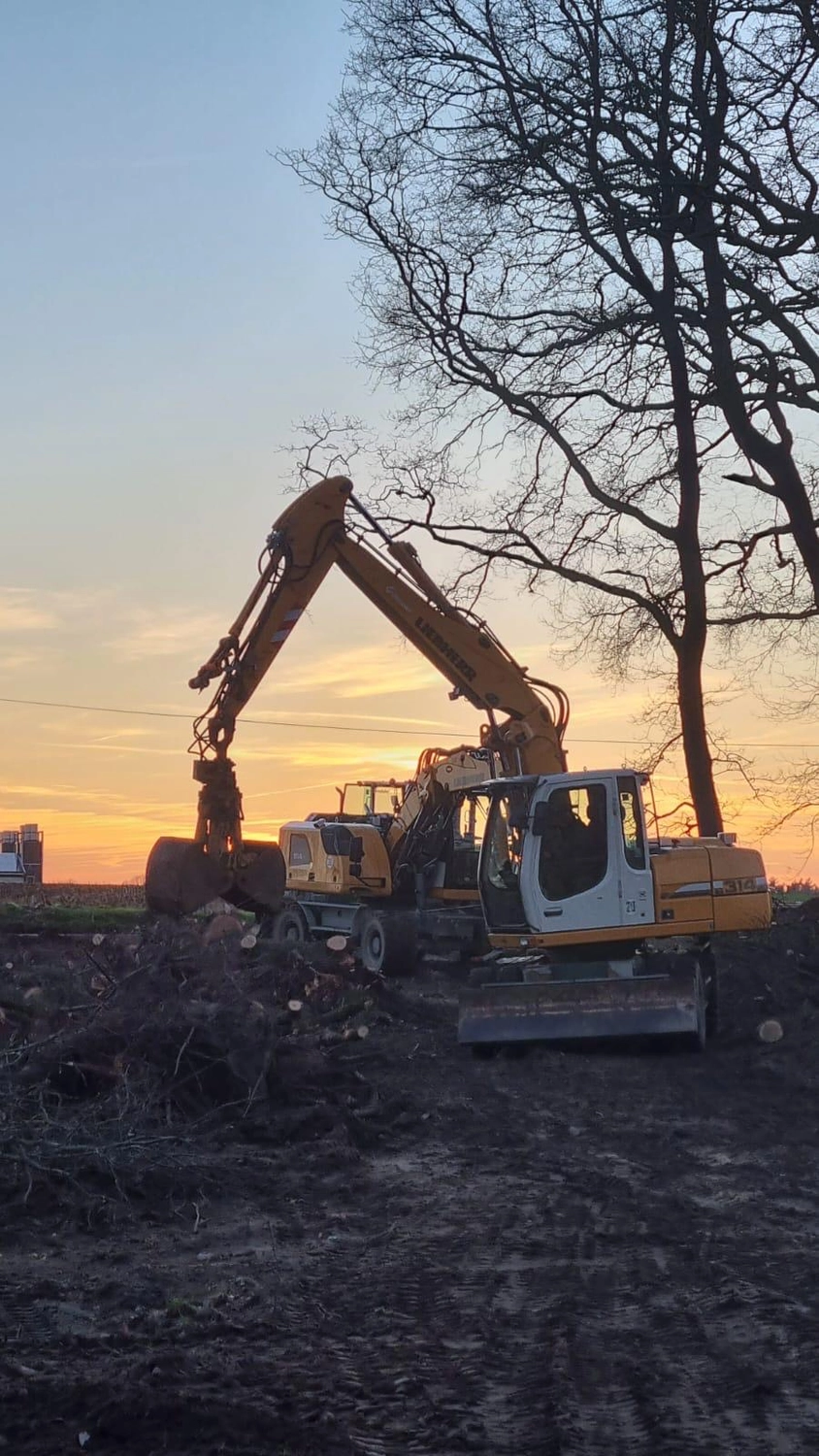 Franz Kotschofsky GmbH - Bauservice - Individuelle Erdarbeiten