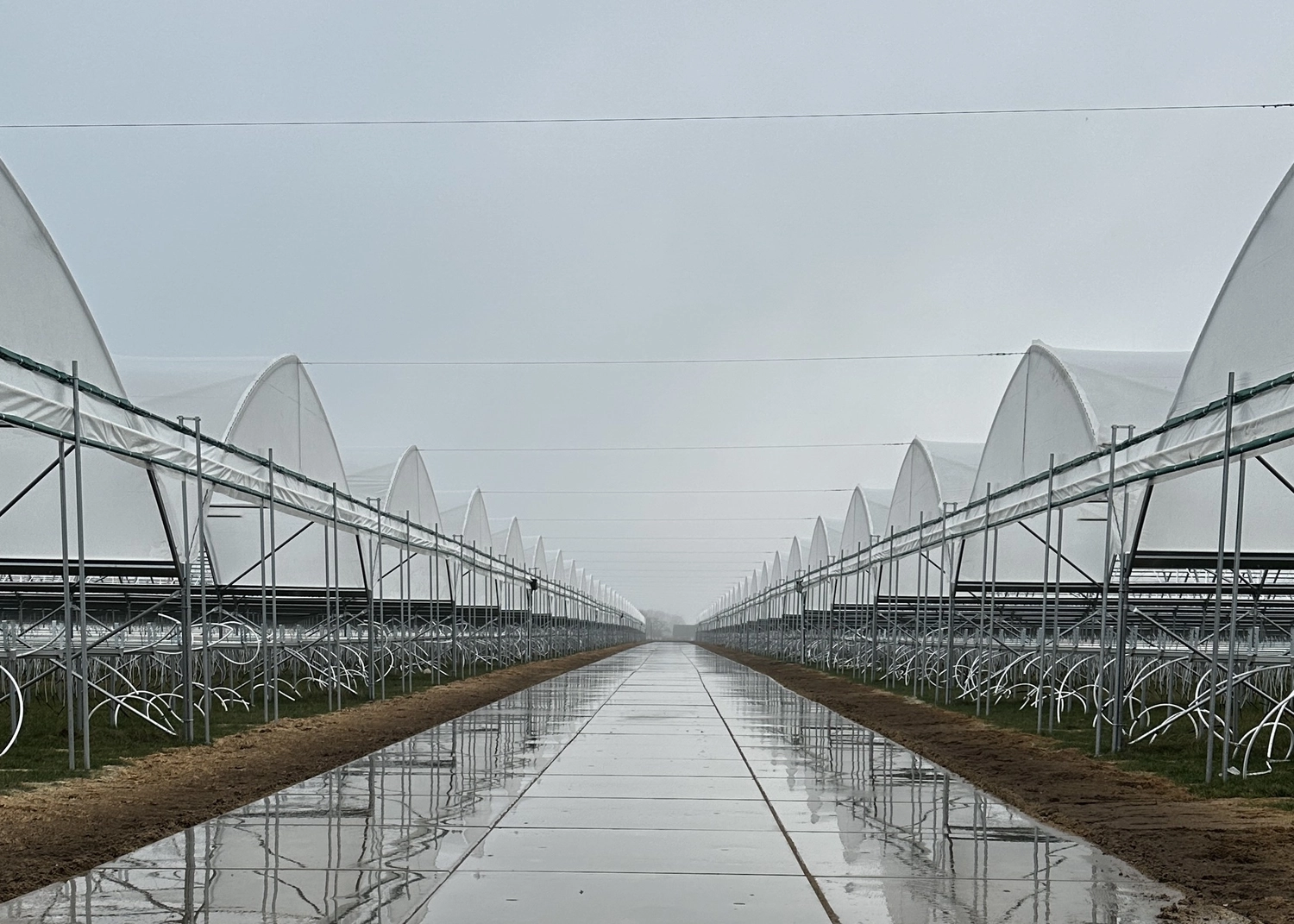 Franz Kotschofsky GmbH - Bauservice - Wegebau- und Flächenbau